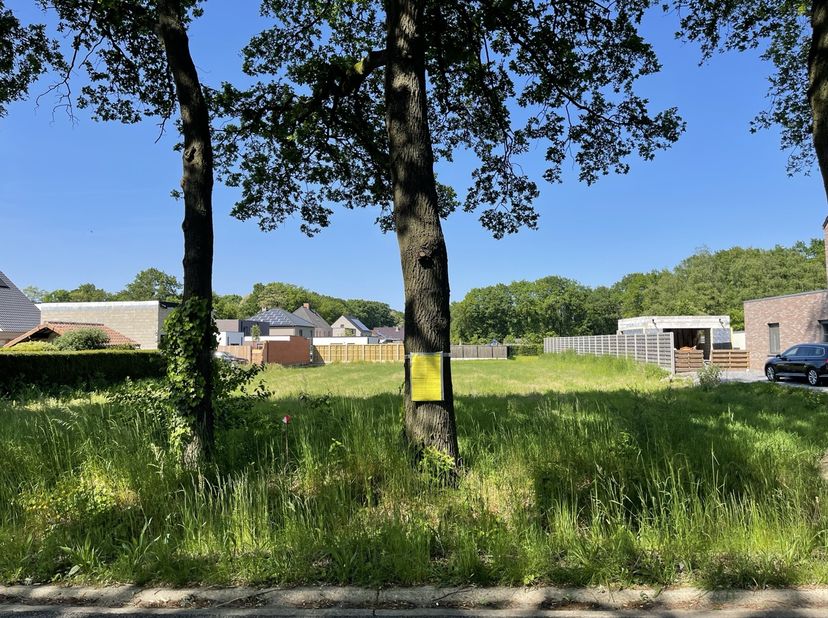 Terrain à vendre
                    à 3970 Heppen